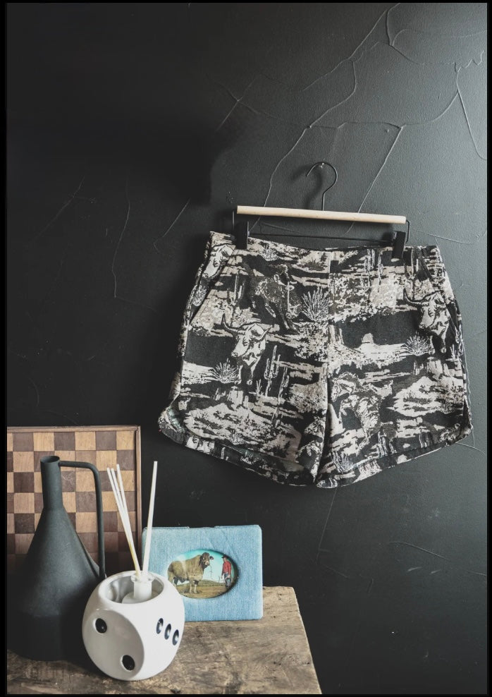 LITTLE ROCK shorts