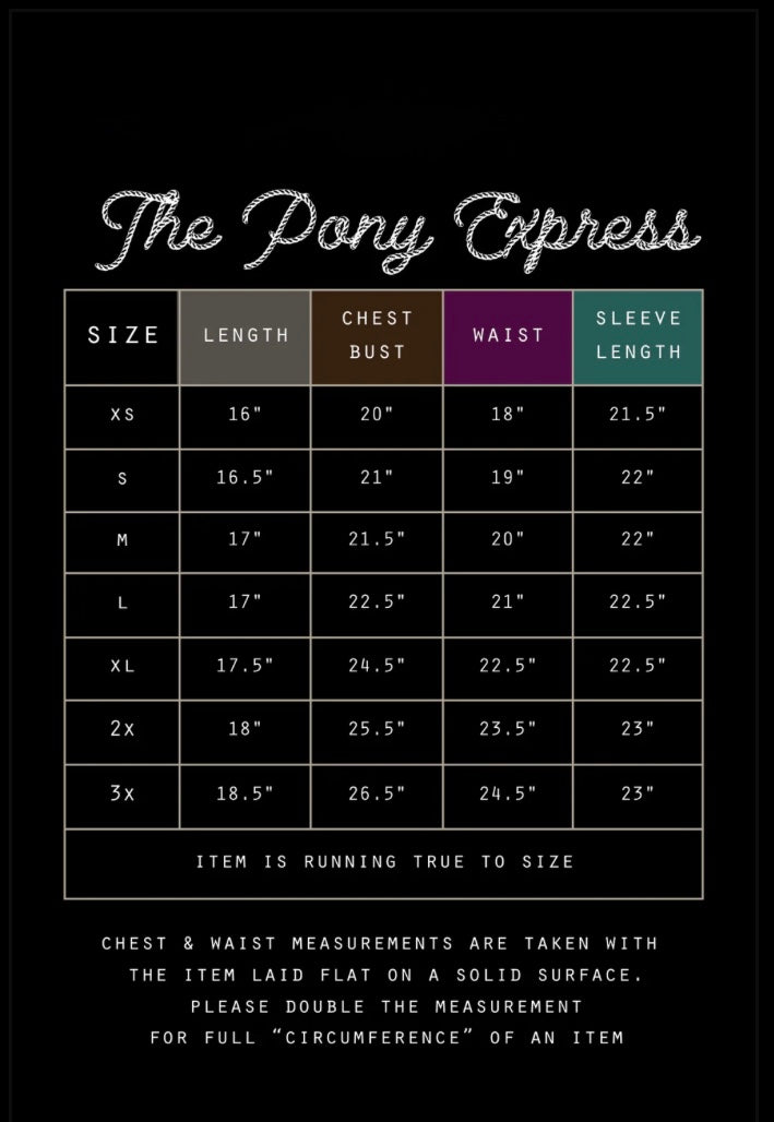 THE PONY EXPRESS